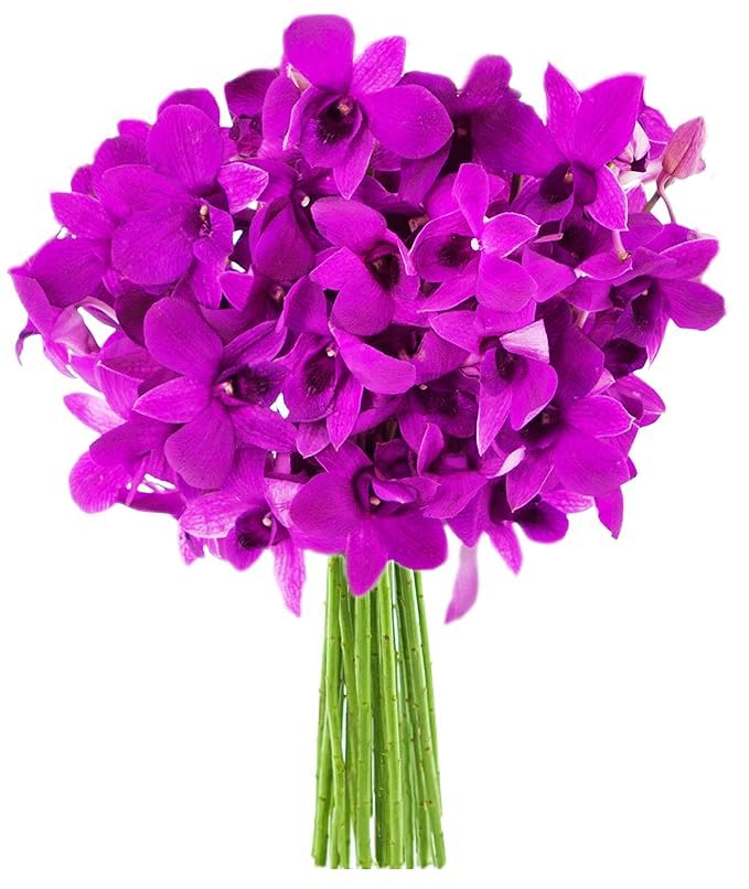 Exotic Sapphire Orchid Bouquet Of 20 Fresh Blue Dendrobium Orchids with Vase - Holidays Collection - KaBloom Prime Next Day - Gift for Birthday, Anniversary, Mother’s Day Fresh Flowers