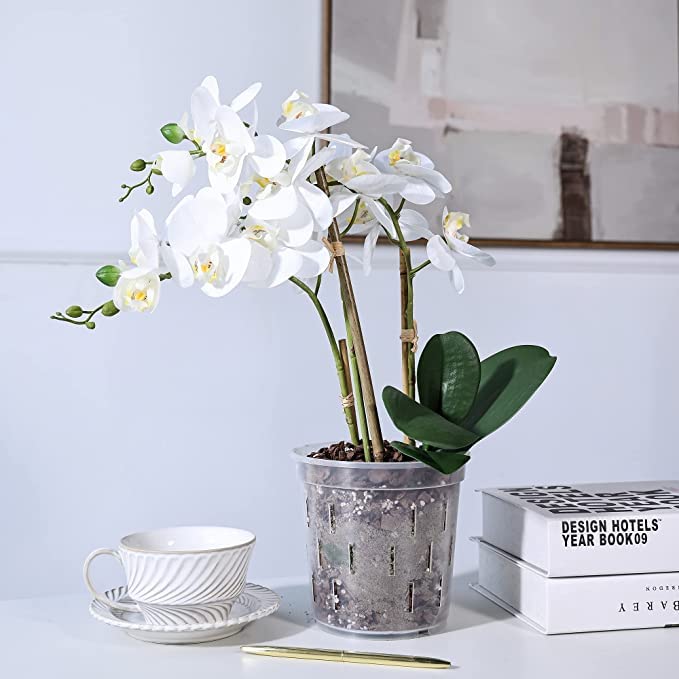 TRUEDAYS 4 Pack Orchid Pot with Saucers Garden Pot 5 Inch Clear Plastic Plant Pots with Drainage Holes for Indoor Outdoor Plants