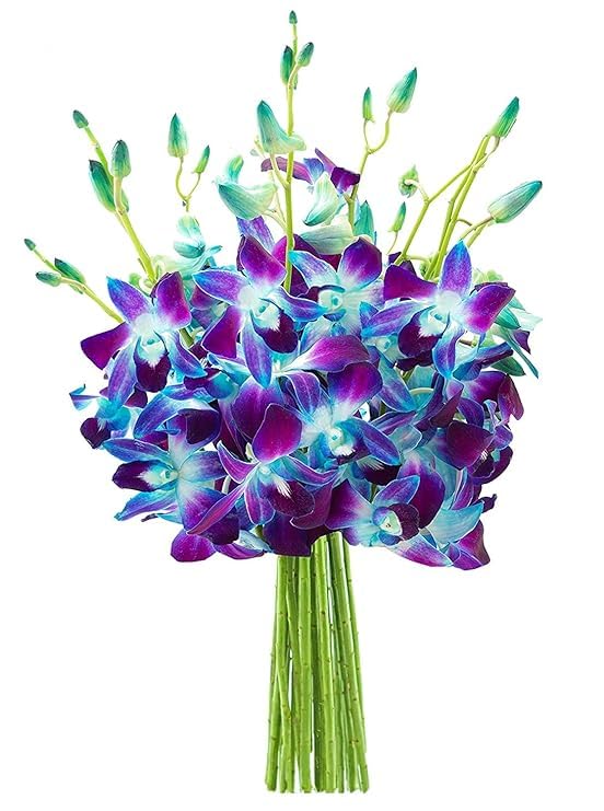 Exotic Sapphire Orchid Bouquet Of 20 Fresh Blue Dendrobium Orchids with Vase - Holidays Collection - KaBloom Prime Next Day - Gift for Birthday, Anniversary, Mother’s Day Fresh Flowers