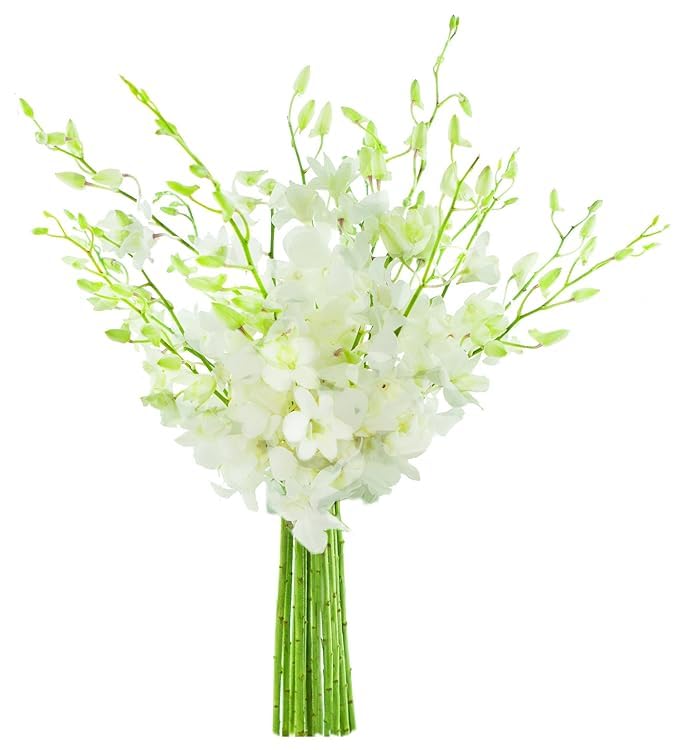Exotic Sapphire Orchid Bouquet Of 20 Fresh Blue Dendrobium Orchids with Vase - Holidays Collection - KaBloom Prime Next Day - Gift for Birthday, Anniversary, Mother’s Day Fresh Flowers