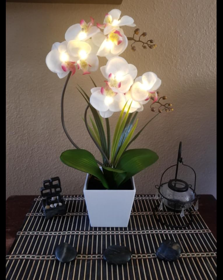 Homeseaons Orchid Lamp-LED Lighted Orchid Arrangements,Pre Lit Artificial Orchid,Light Up Flower Lights, Faux Orchid Phalaenopsis Arrangement (White)