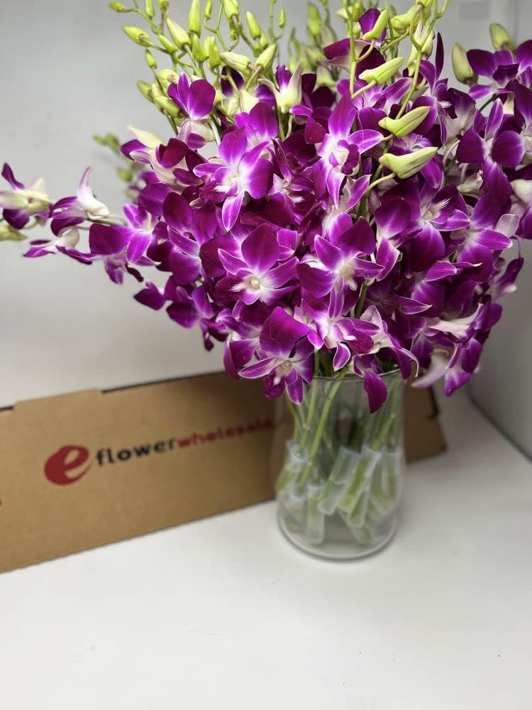 Premium Cut Purple Orchids (20 stems with Vase) (Support Small Business)