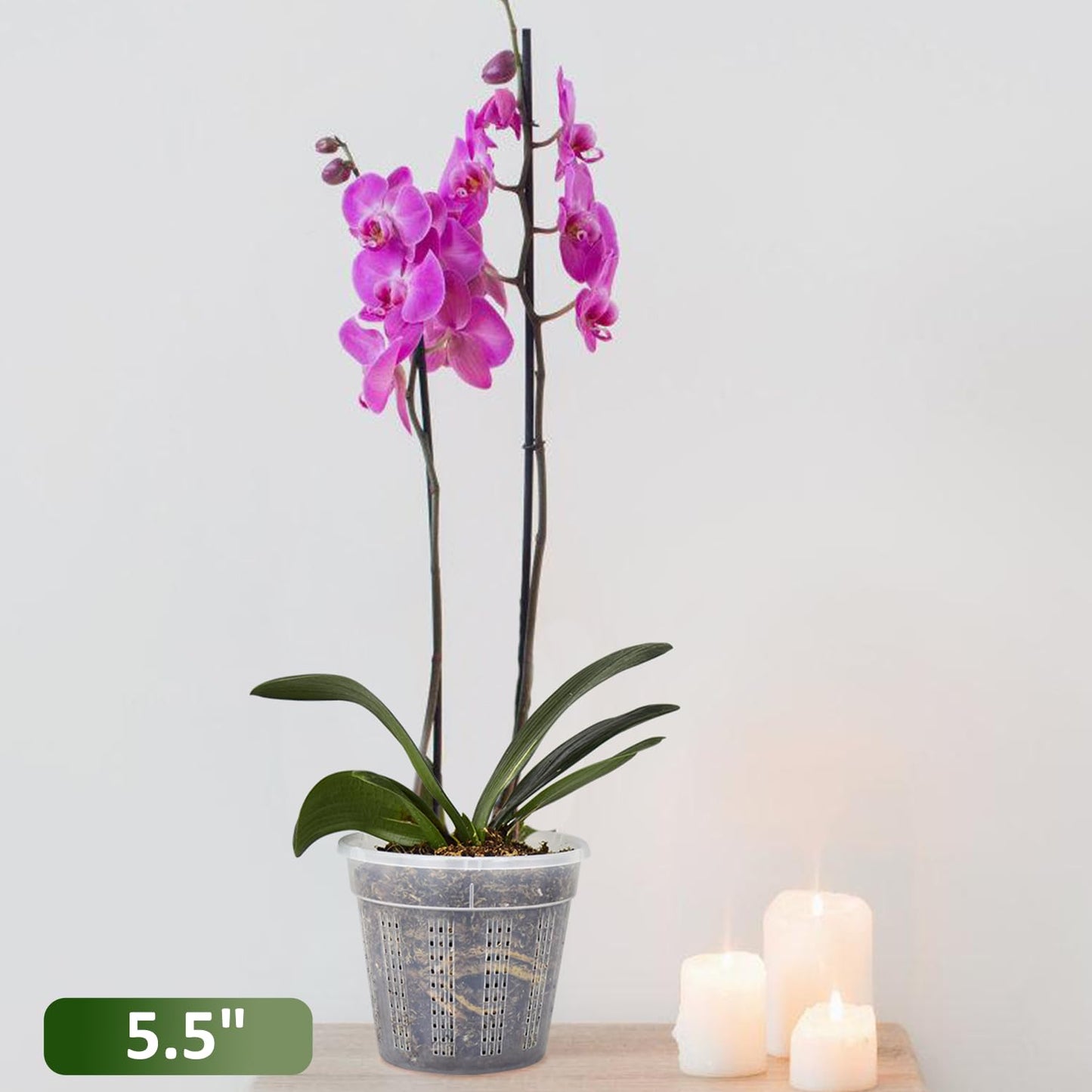 8 Pack Orchid Pot, 4.5in Orchid Pots with Holes, Orchid Pots for Repotting with Clips, Clear Plastic Plant Pot for Indoor Outdoor Plants(4.5in, 8 Pack)