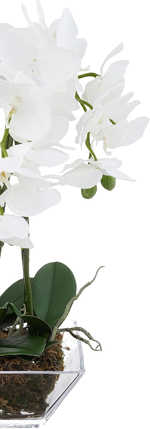 Nearly Natural 4570 Triple Phalaenopsis Orchid in Glass Vase,Green/White