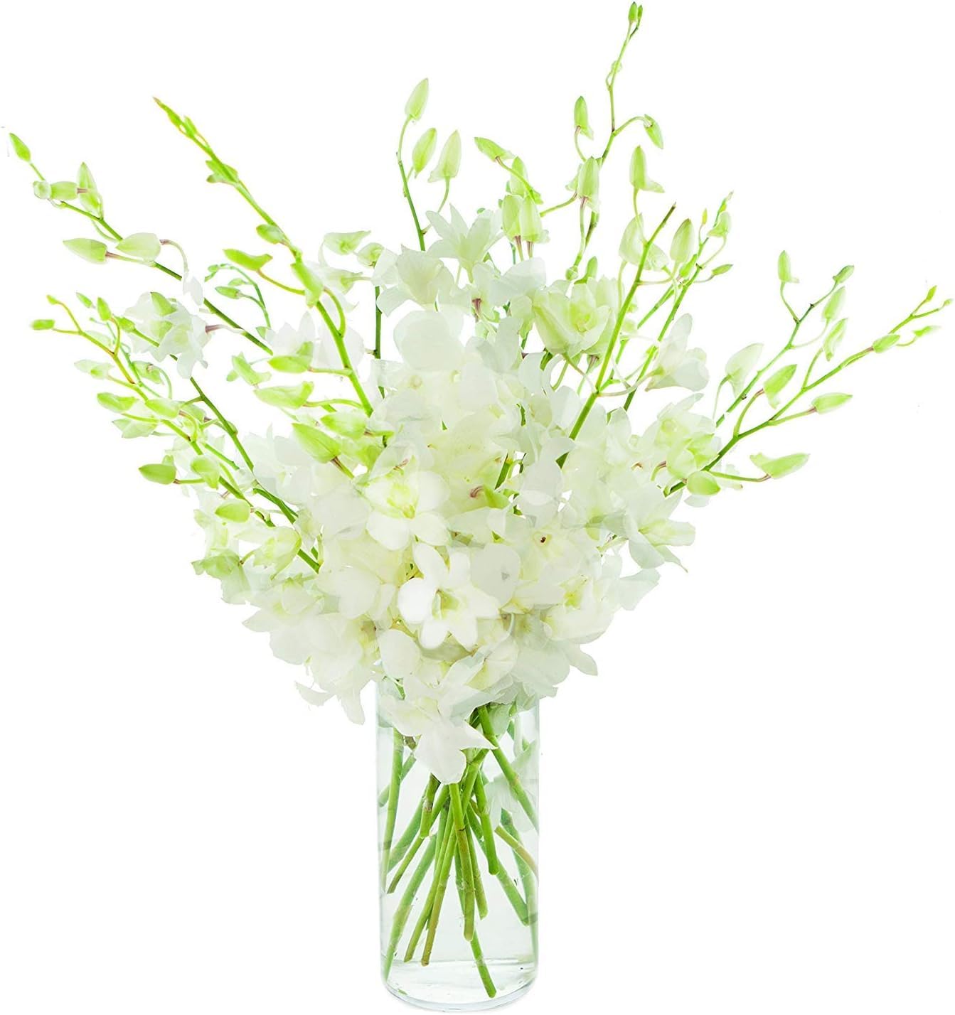 Premium Cut Purple Orchids (20 stems with Vase) (Support Small Business)