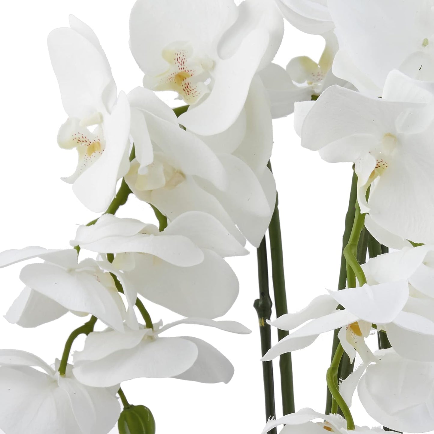 Nearly Natural 4570 Triple Phalaenopsis Orchid in Glass Vase,Green/White