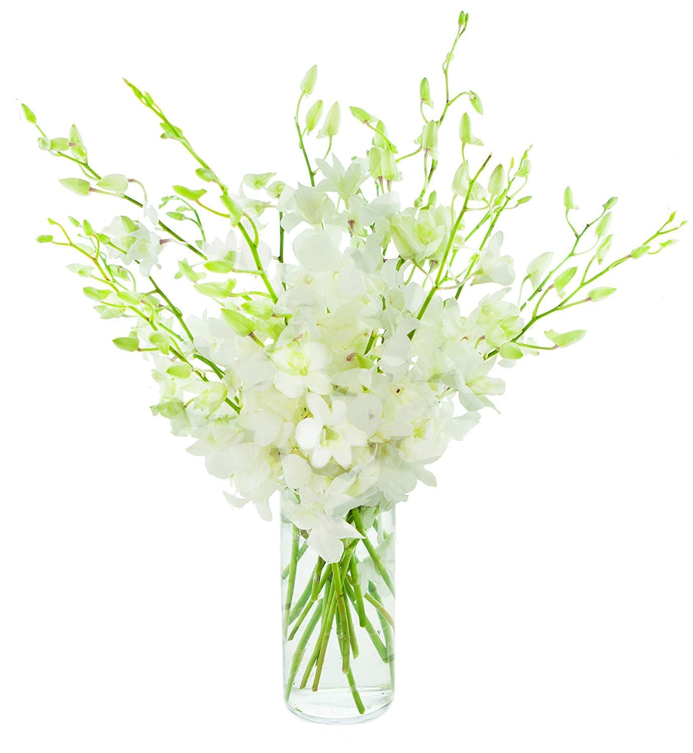 Premium Cut Purple Orchids (20 stems with Vase) (Support Small Business)