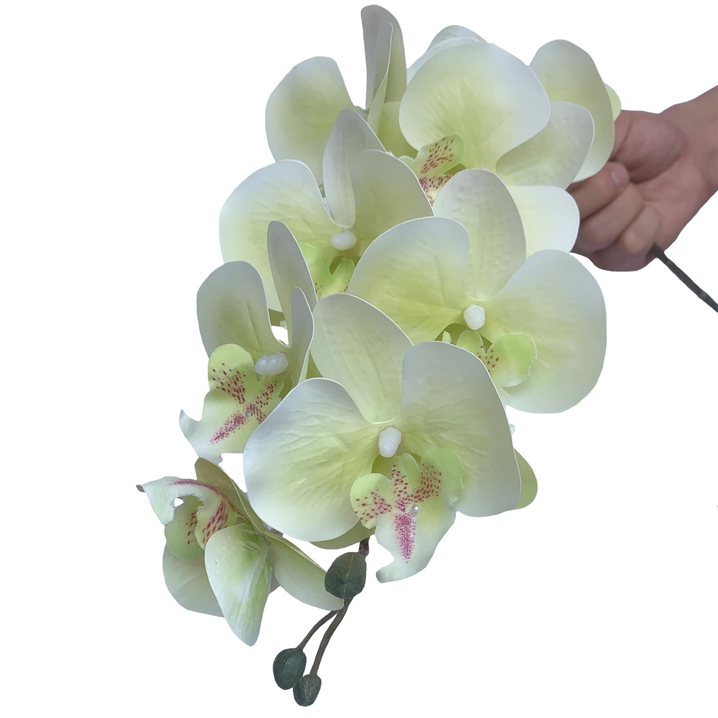FagusHome 32" Artificial Phalaenopsis Flowers 4 Pcs with 2 Bundles Leaves Artificial Orchid Flowers Stem Plants Fake Butterfly Phalaenopsis Flowers for Home Wedding Party Décor (Yellow)