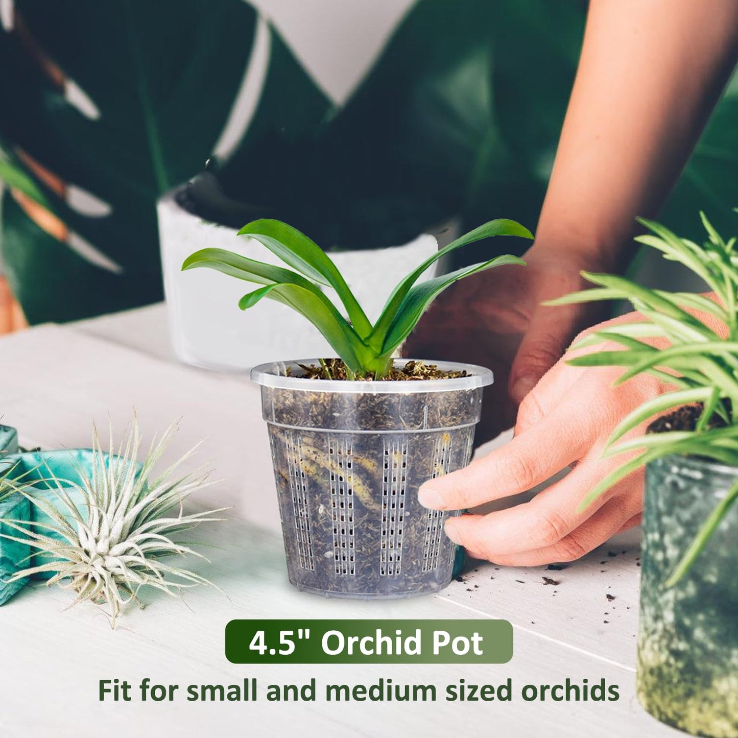 8 Pack Orchid Pot, 4.5in Orchid Pots with Holes, Orchid Pots for Repotting with Clips, Clear Plastic Plant Pot for Indoor Outdoor Plants(4.5in, 8 Pack)