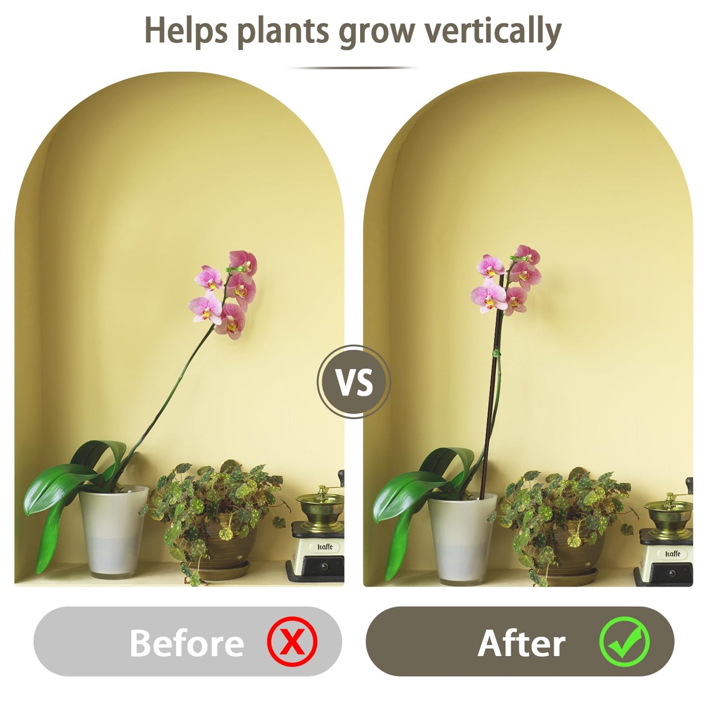 Plant Stakes,Plant Sticks,LECAMEBOR 20PCS Bendable Orchid Stakes Single Stem Plant Support Stakes for Indoor and Outdoor Plants, Potted Plants, Flowers, Peonies, and Roses -16inch&18inch(Brown)