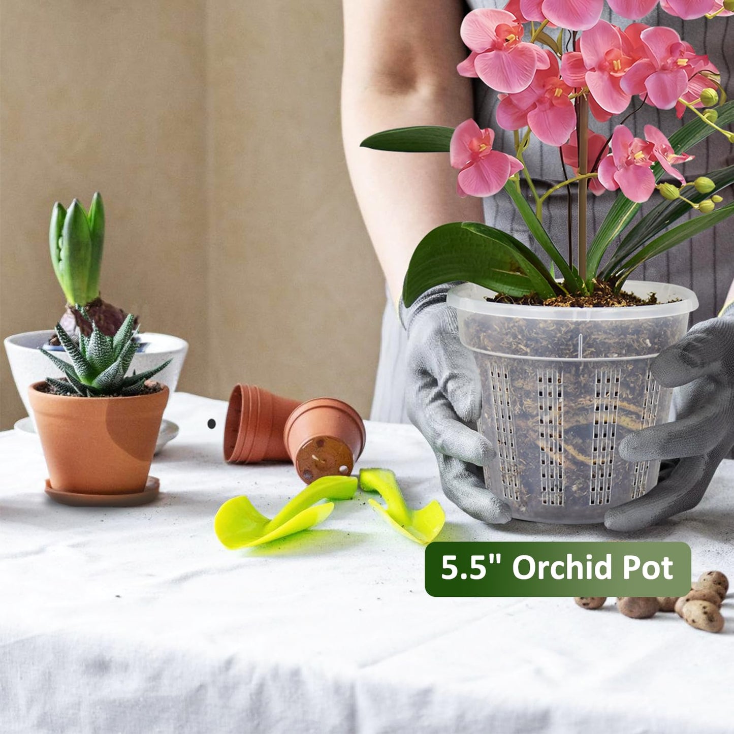 8 Pack Orchid Pot, 4.5in Orchid Pots with Holes, Orchid Pots for Repotting with Clips, Clear Plastic Plant Pot for Indoor Outdoor Plants(4.5in, 8 Pack)