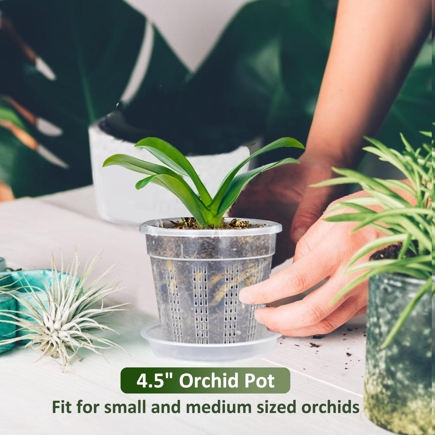 8 Pack Orchid Pot, 4.5in Orchid Pots with Holes, Orchid Pots for Repotting with Clips, Clear Plastic Plant Pot for Indoor Outdoor Plants(4.5in, 8 Pack)
