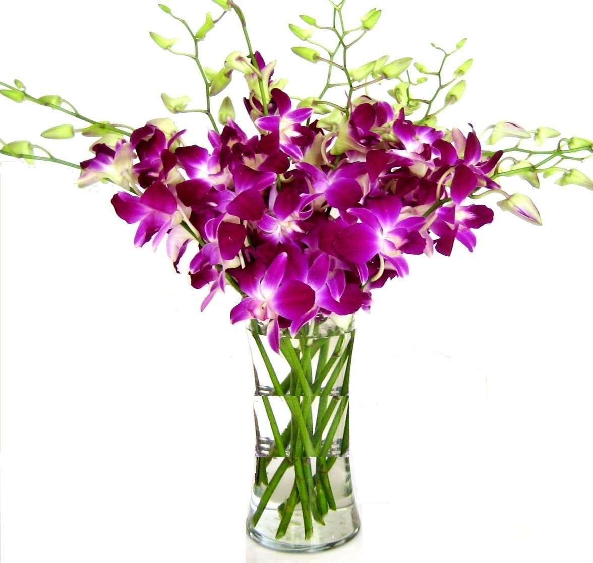 Premium Cut Purple Orchids (20 stems with Vase) (Support Small Business)