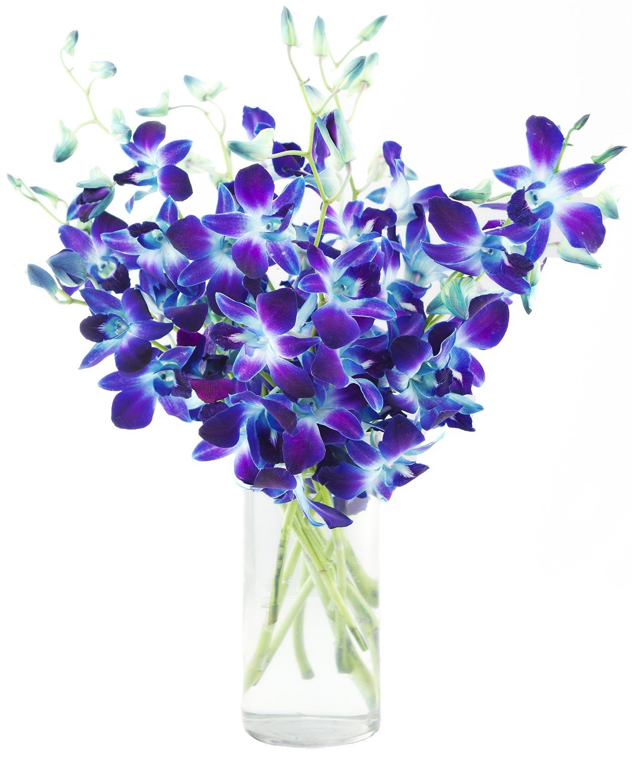 Premium Cut Purple Orchids (20 stems with Vase) (Support Small Business)