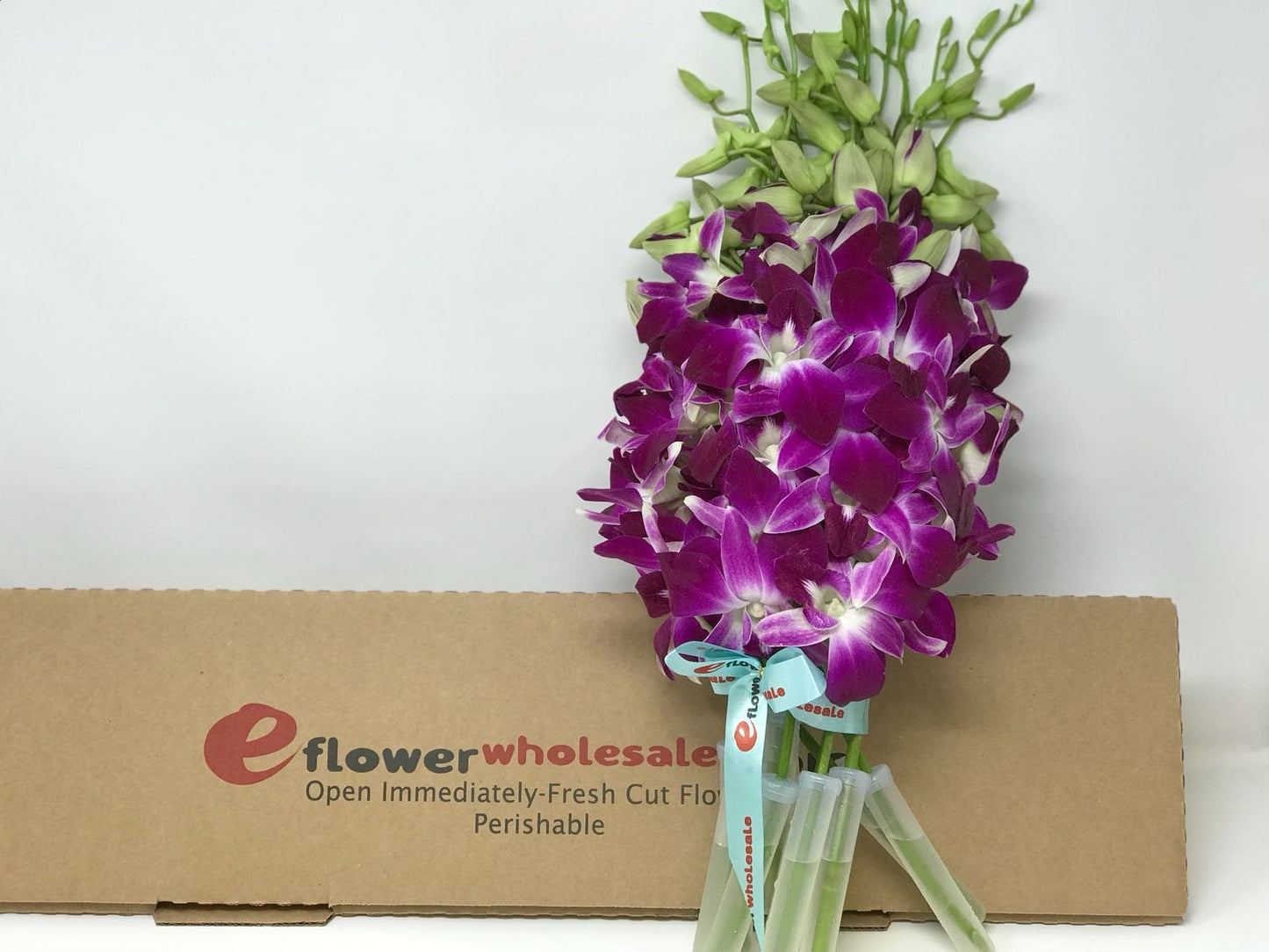 Premium Cut Purple Orchids (20 stems with Vase) (Support Small Business)