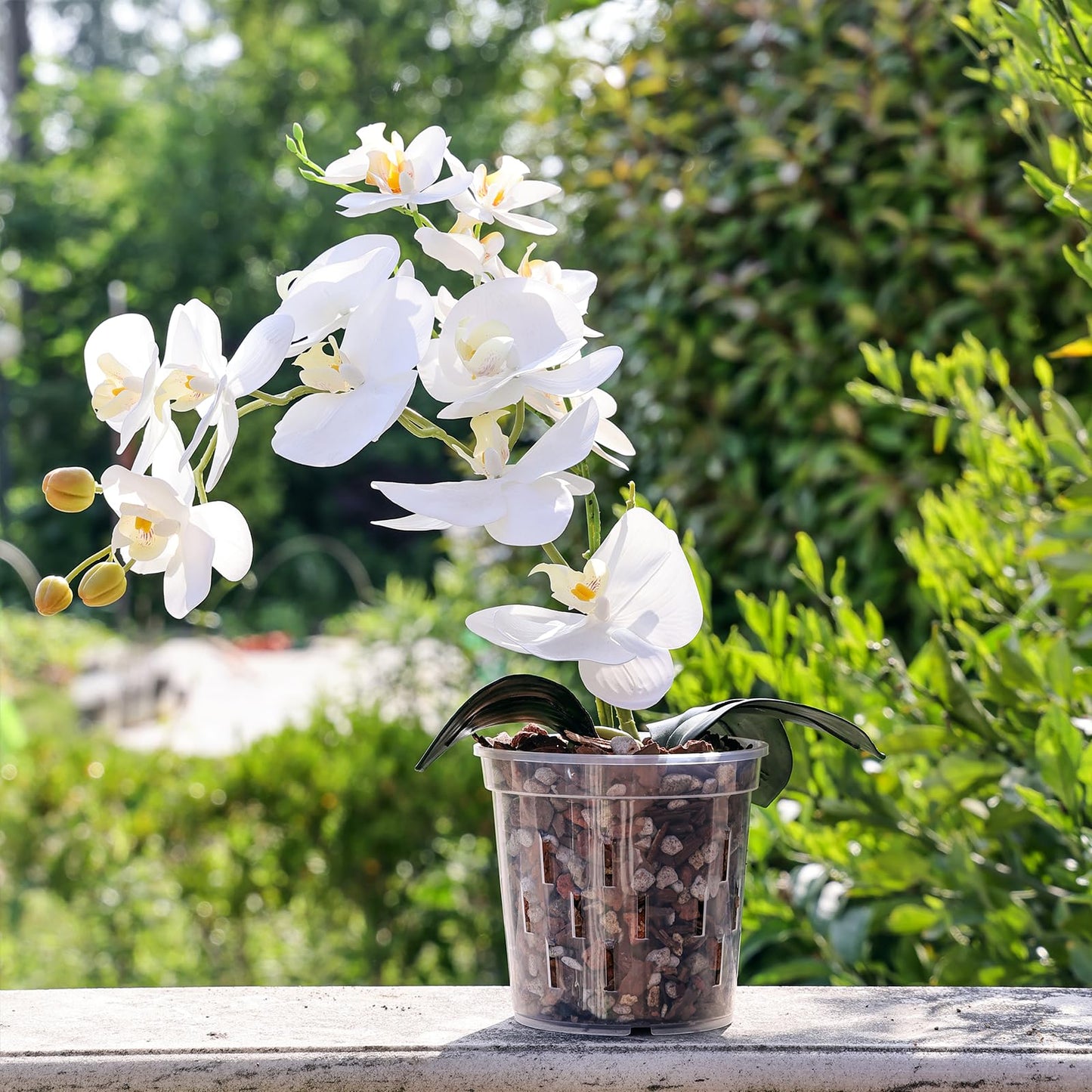 TRUEDAYS 4 Pack Orchid Pot with Saucers Garden Pot 5 Inch Clear Plastic Plant Pots with Drainage Holes for Indoor Outdoor Plants