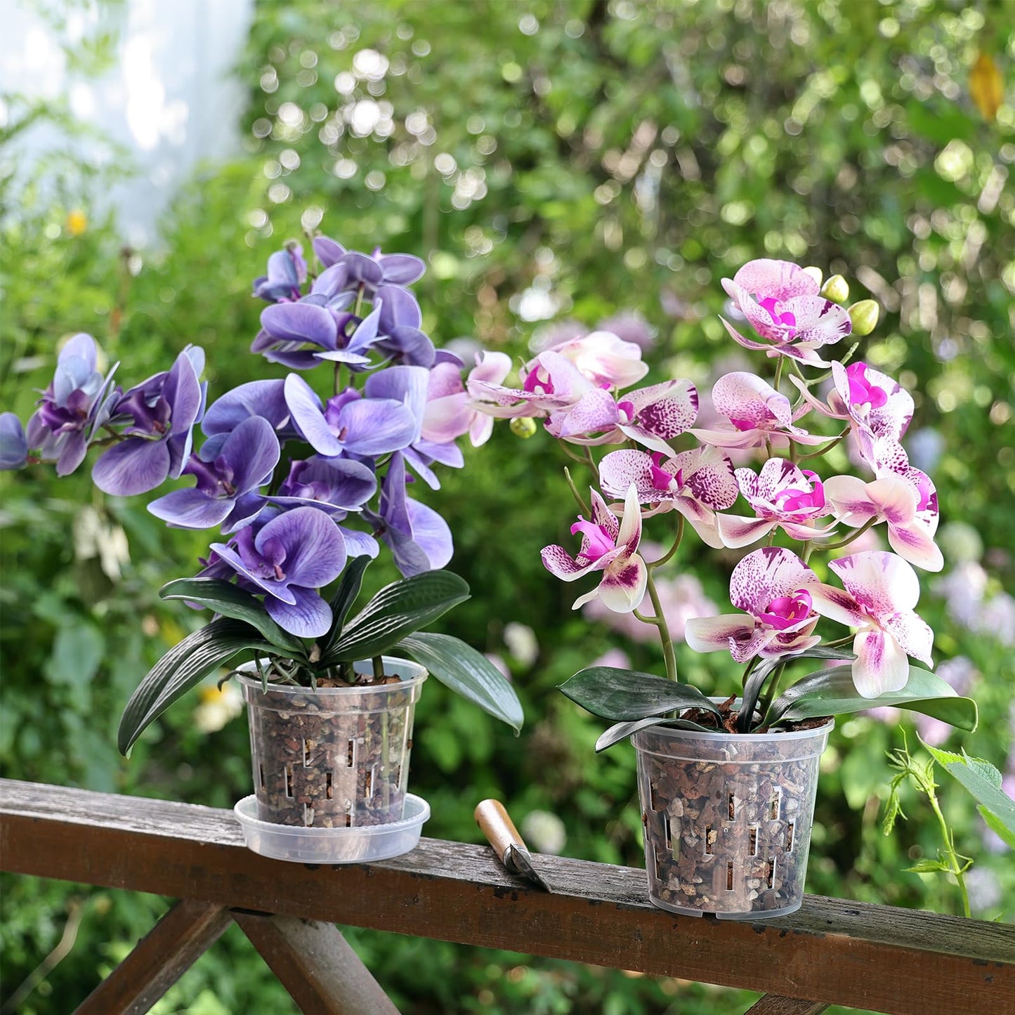 TRUEDAYS 4 Pack Orchid Pot with Saucers Garden Pot 5 Inch Clear Plastic Plant Pots with Drainage Holes for Indoor Outdoor Plants