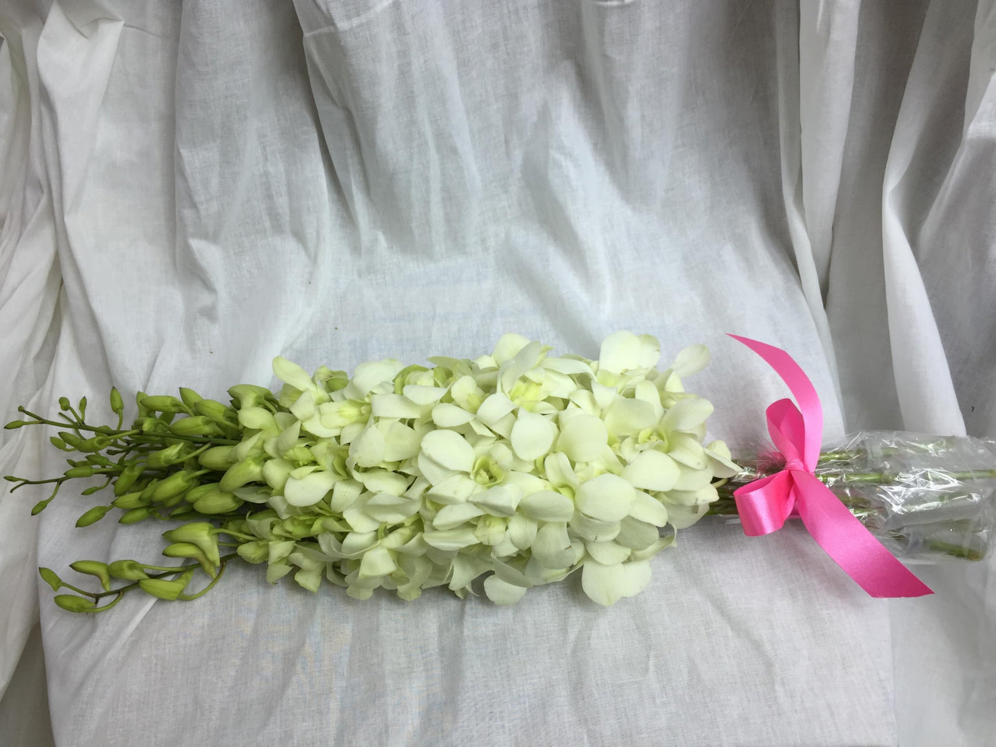 Premium Cut Purple Orchids (20 stems with Vase) (Support Small Business)