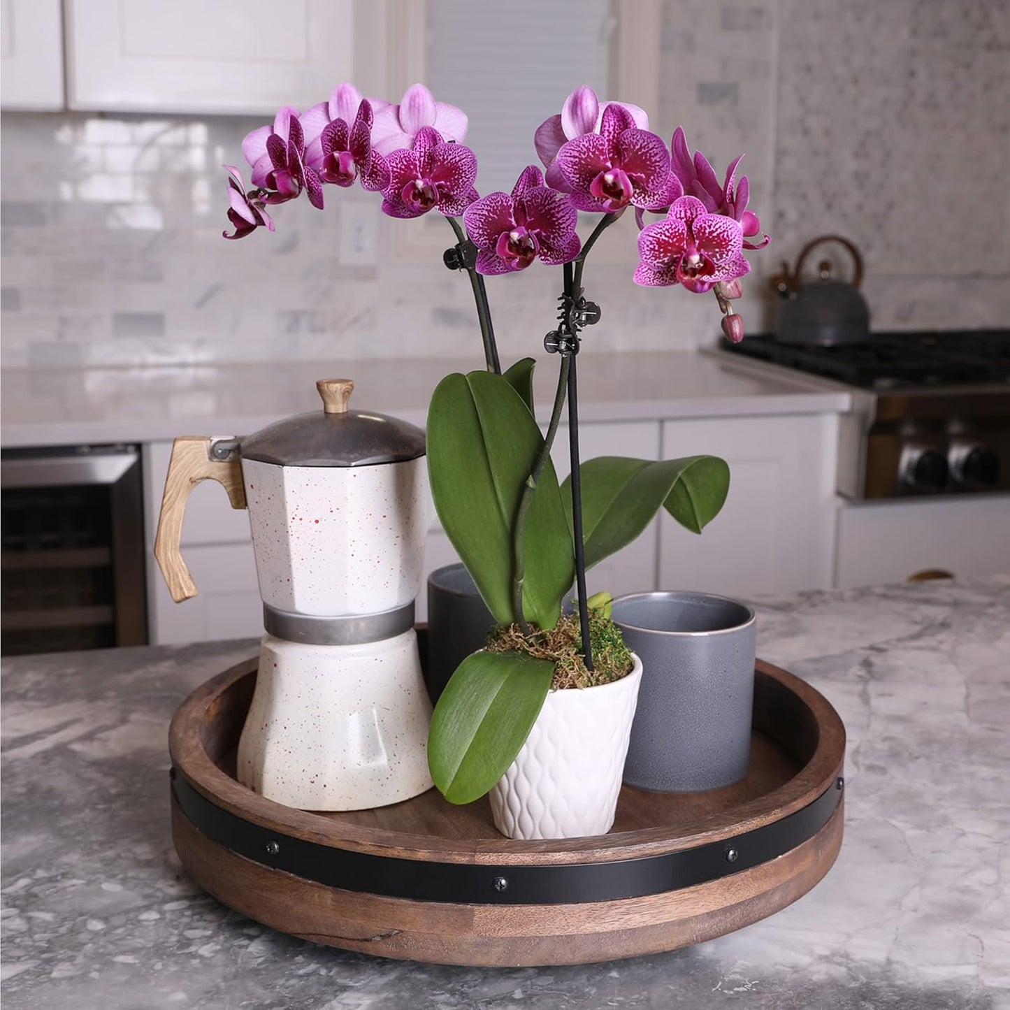 Just Add Ice JA5005 Purple Orchid in White Evi Ceramic Pottery, Live Indoor Plant, Long-Lasting Fresh Flowers, Easy to Grow Gift for Wife, Mom, Her, Elegant Home Décor Planter, 3" Diameter, 15" Tall