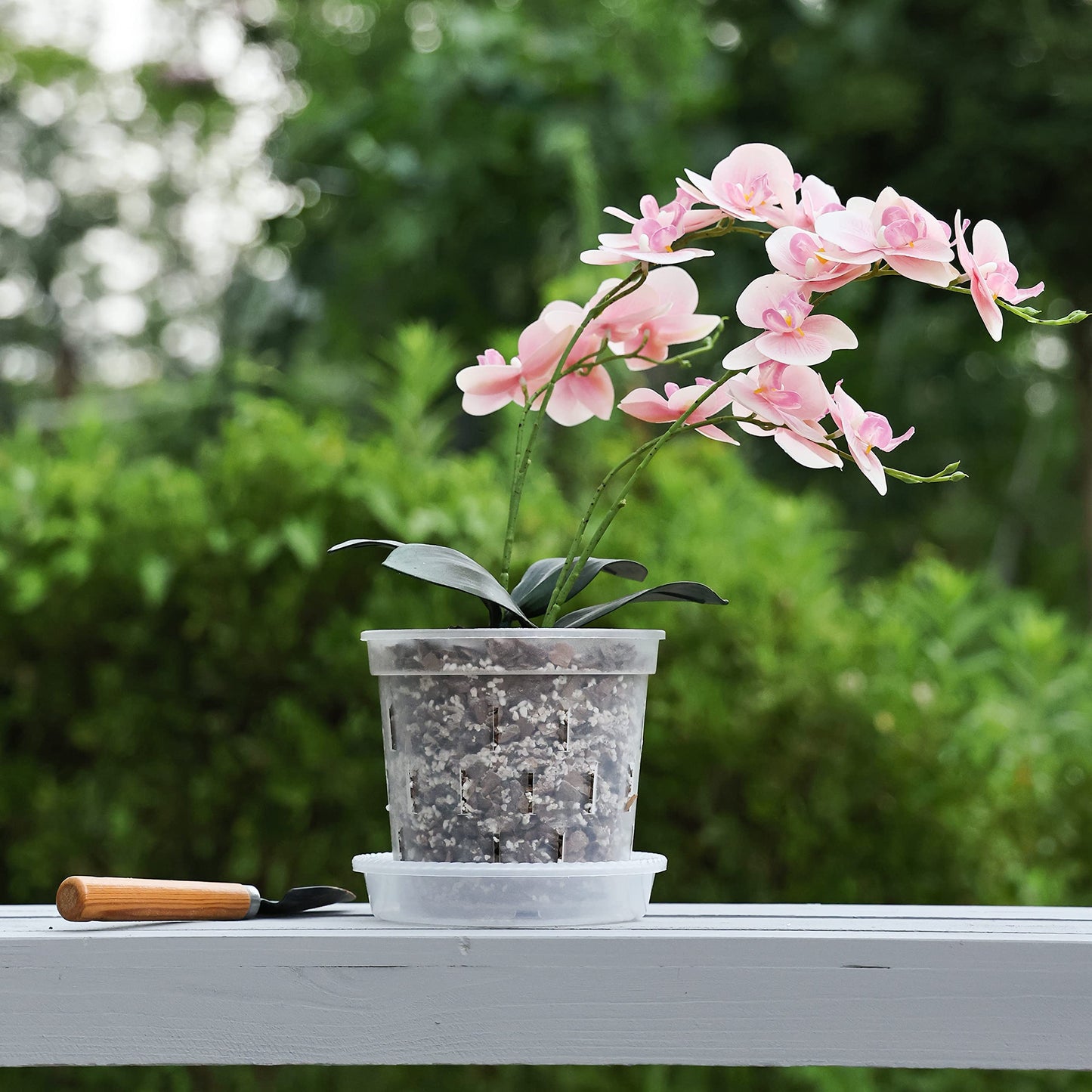 TRUEDAYS 4 Pack Orchid Pot with Saucers Garden Pot 5 Inch Clear Plastic Plant Pots with Drainage Holes for Indoor Outdoor Plants