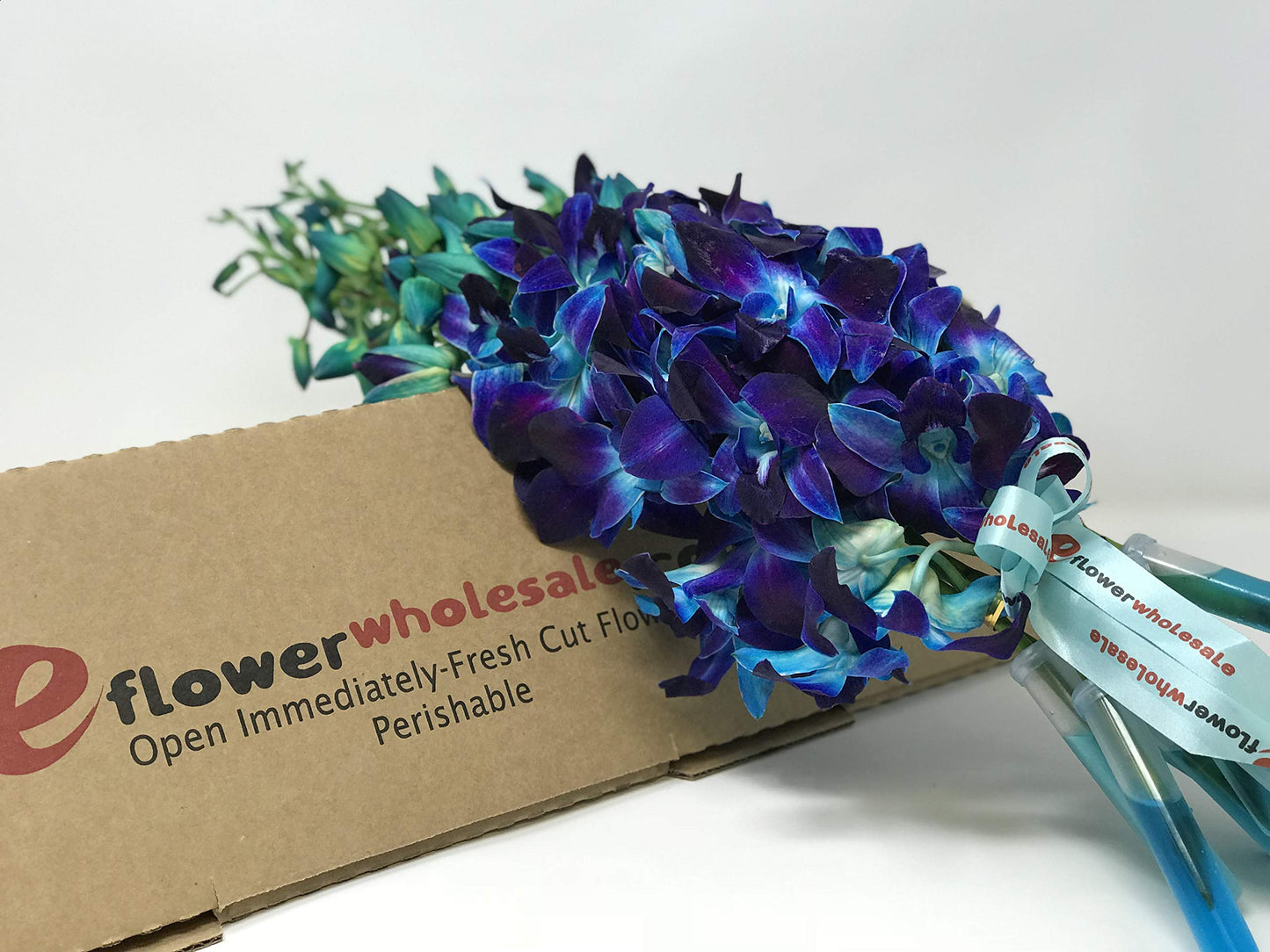 Premium Cut Purple Orchids (20 stems with Vase) (Support Small Business)