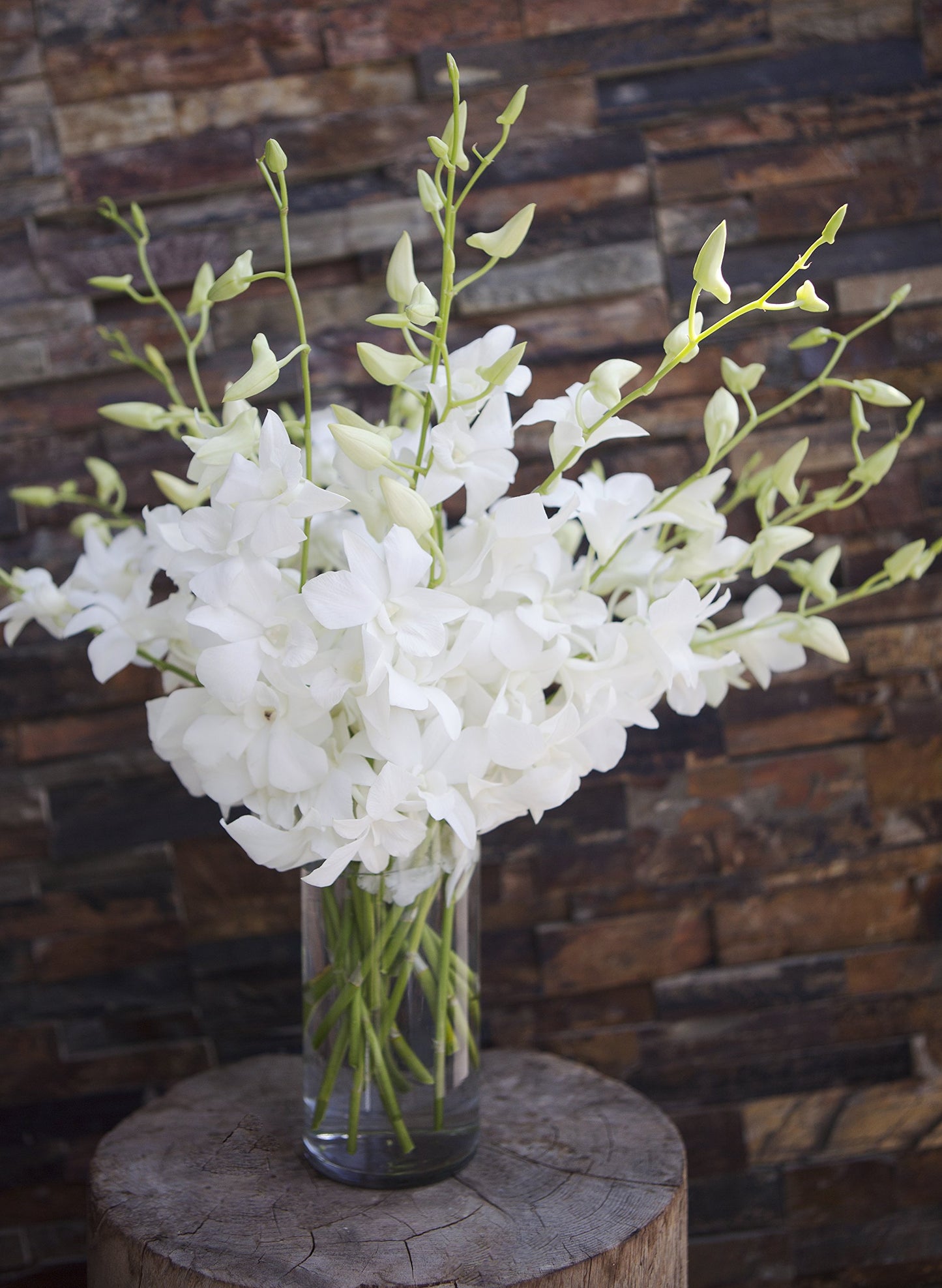 Exotic Sapphire Orchid Bouquet Of 20 Fresh Blue Dendrobium Orchids with Vase - Holidays Collection - KaBloom Prime Next Day - Gift for Birthday, Anniversary, Mother’s Day Fresh Flowers