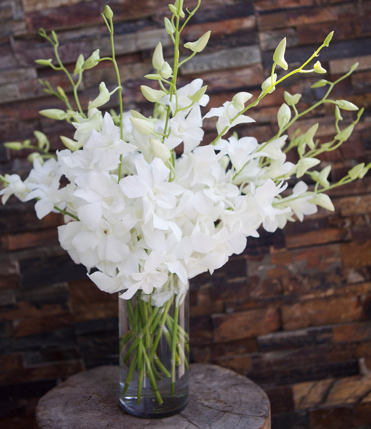 Exotic Sapphire Orchid Bouquet Of 20 Fresh Blue Dendrobium Orchids with Vase - Holidays Collection - KaBloom Prime Next Day - Gift for Birthday, Anniversary, Mother’s Day Fresh Flowers