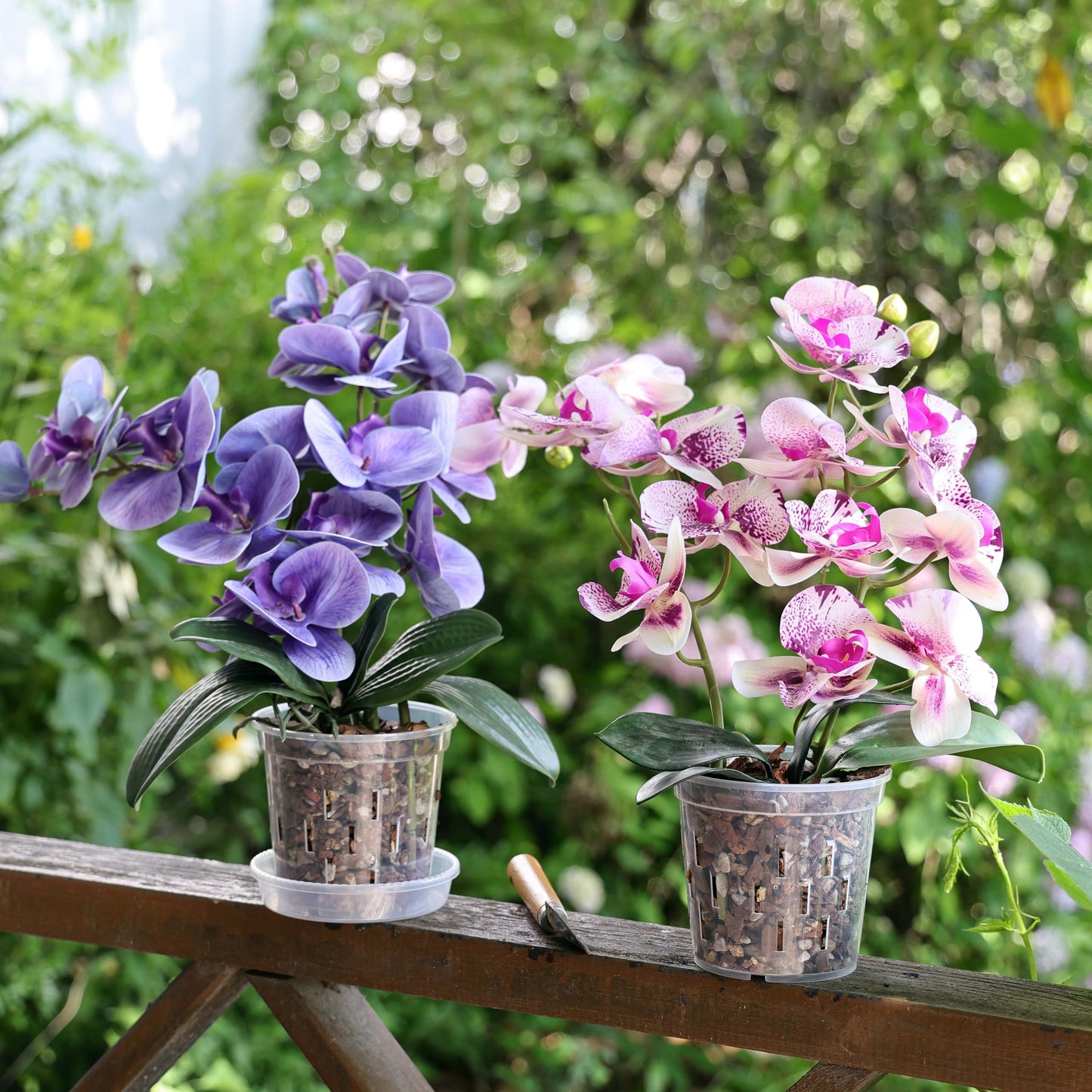 TRUEDAYS 4 Pack Orchid Pot with Saucers Garden Pot 5 Inch Clear Plastic Plant Pots with Drainage Holes for Indoor Outdoor Plants