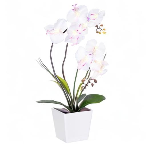 Homeseaons Orchid Lamp-LED Lighted Orchid Arrangements,Pre Lit Artificial Orchid,Light Up Flower Lights, Faux Orchid Phalaenopsis Arrangement (White)