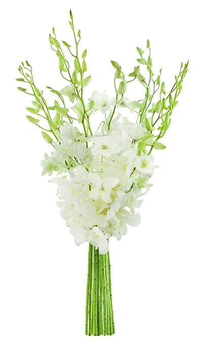 Exotic Sapphire Orchid Bouquet Of 20 Fresh Blue Dendrobium Orchids with Vase - Holidays Collection - KaBloom Prime Next Day - Gift for Birthday, Anniversary, Mother’s Day Fresh Flowers