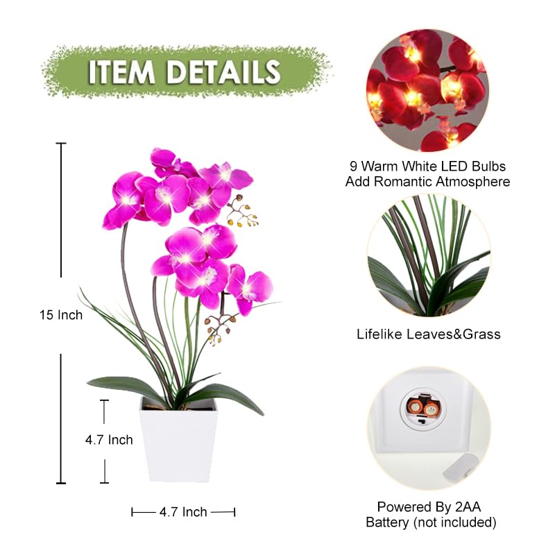 Homeseaons Orchid Lamp-LED Lighted Orchid Arrangements,Pre Lit Artificial Orchid,Light Up Flower Lights, Faux Orchid Phalaenopsis Arrangement (White)
