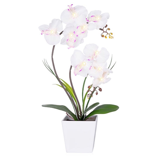 Homeseaons Orchid Lamp-LED Lighted Orchid Arrangements,Pre Lit Artificial Orchid,Light Up Flower Lights, Faux Orchid Phalaenopsis Arrangement (White)