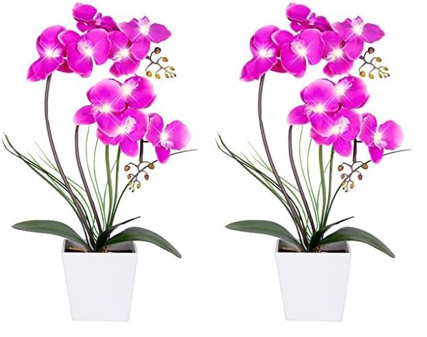 Homeseaons Orchid Lamp-LED Lighted Orchid Arrangements,Pre Lit Artificial Orchid,Light Up Flower Lights, Faux Orchid Phalaenopsis Arrangement (White)