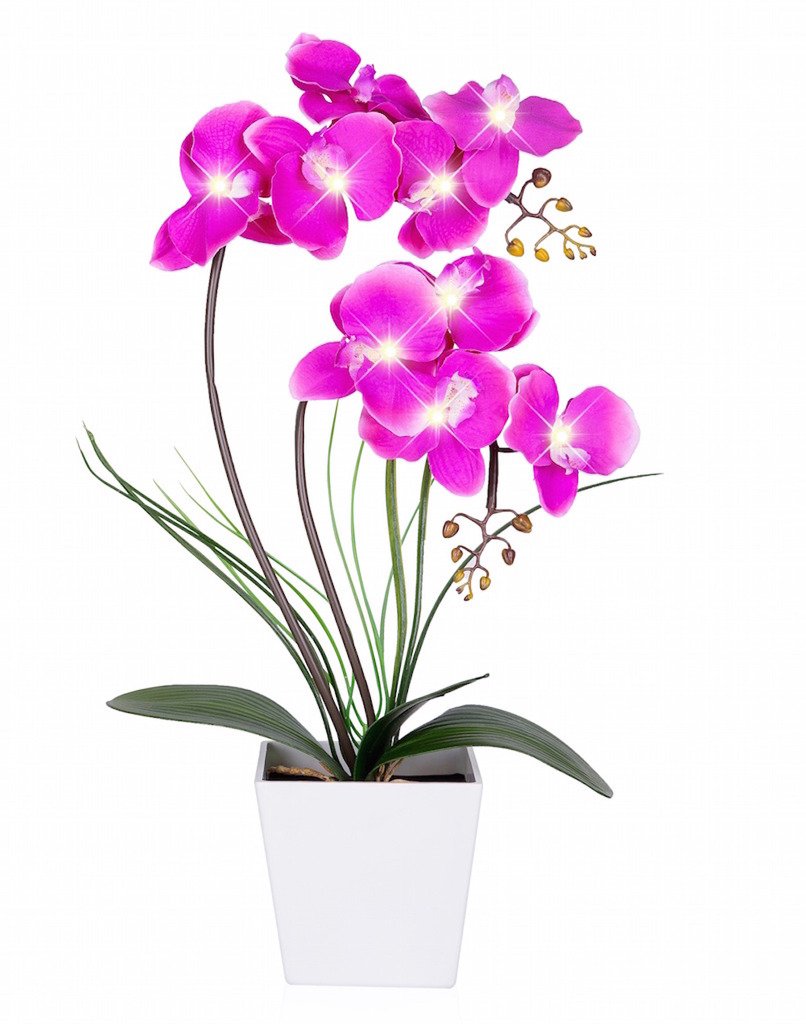 Homeseaons Orchid Lamp-LED Lighted Orchid Arrangements,Pre Lit Artificial Orchid,Light Up Flower Lights, Faux Orchid Phalaenopsis Arrangement (White)