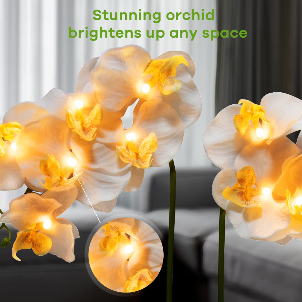 Homeseaons Orchid Lamp-LED Lighted Orchid Arrangements,Pre Lit Artificial Orchid,Light Up Flower Lights, Faux Orchid Phalaenopsis Arrangement (White)