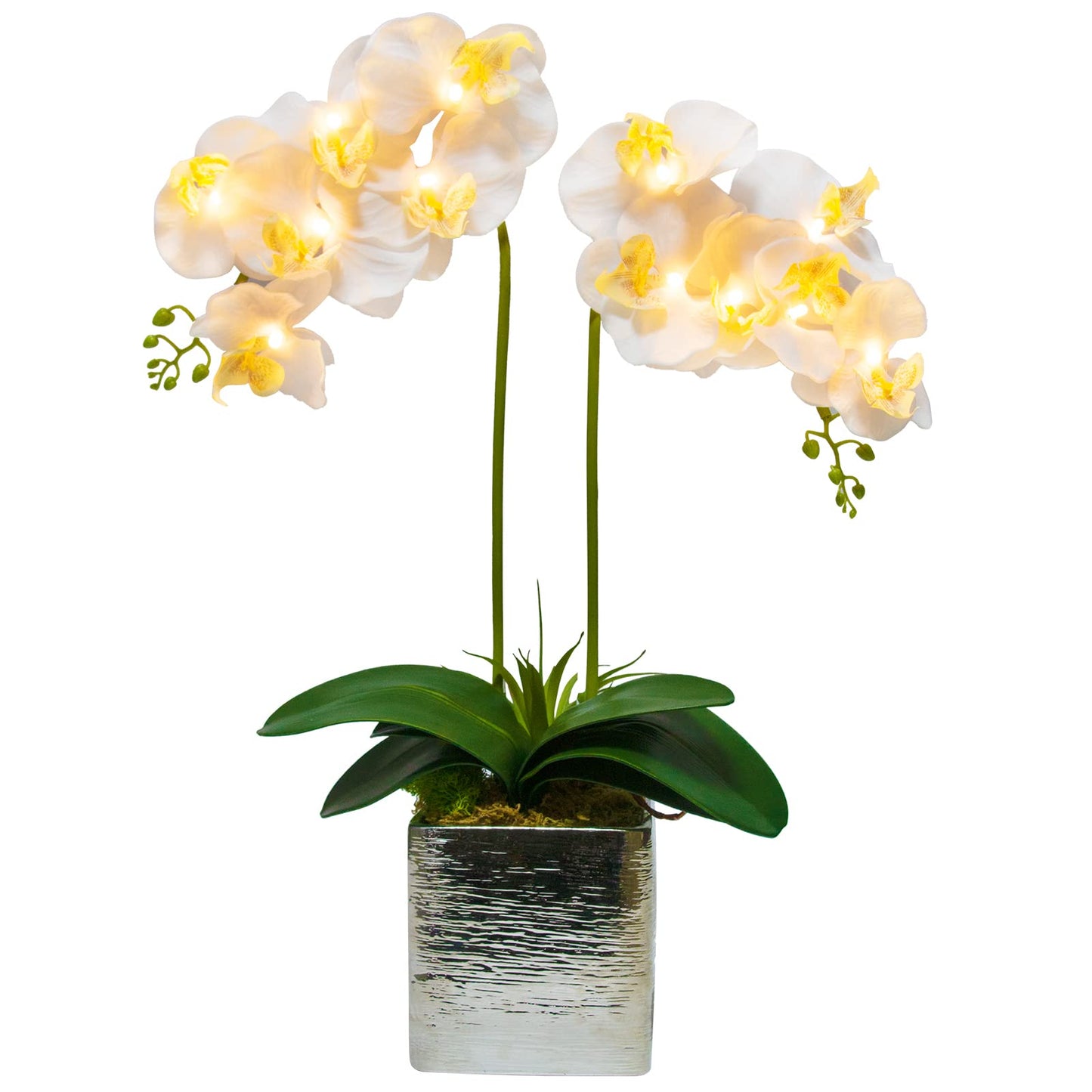 Homeseaons Orchid Lamp-LED Lighted Orchid Arrangements,Pre Lit Artificial Orchid,Light Up Flower Lights, Faux Orchid Phalaenopsis Arrangement (White)