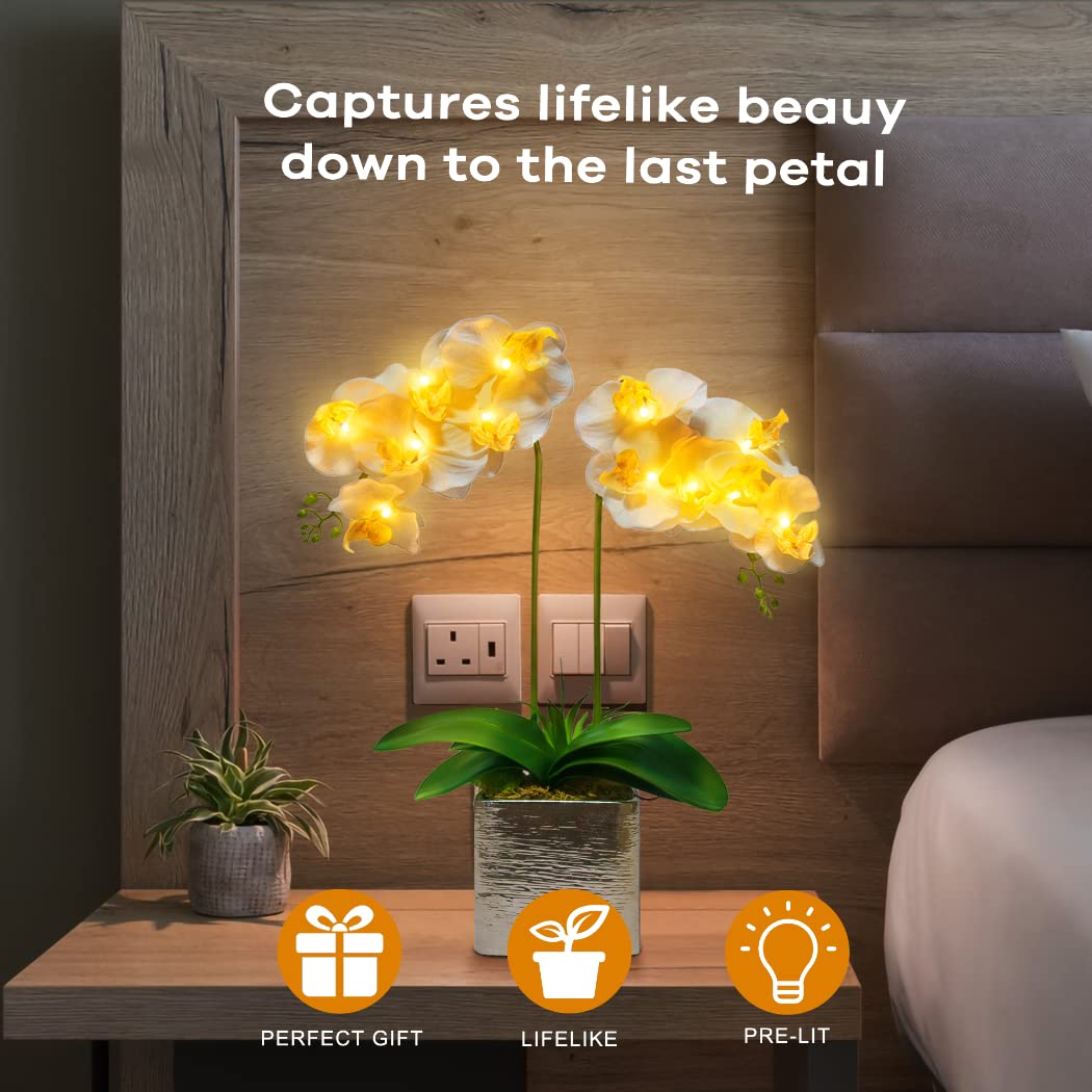 Homeseaons Orchid Lamp-LED Lighted Orchid Arrangements,Pre Lit Artificial Orchid,Light Up Flower Lights, Faux Orchid Phalaenopsis Arrangement (White)