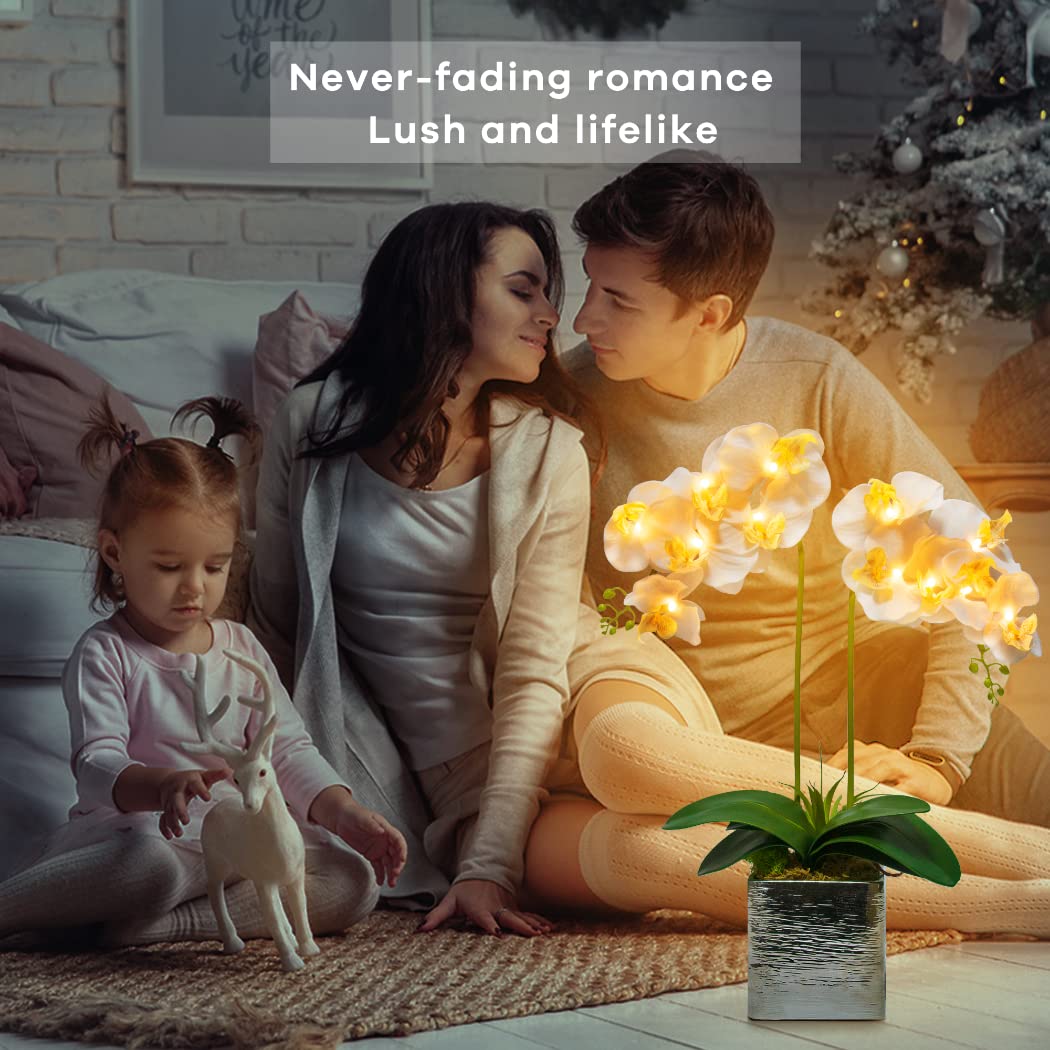 Homeseaons Orchid Lamp-LED Lighted Orchid Arrangements,Pre Lit Artificial Orchid,Light Up Flower Lights, Faux Orchid Phalaenopsis Arrangement (White)
