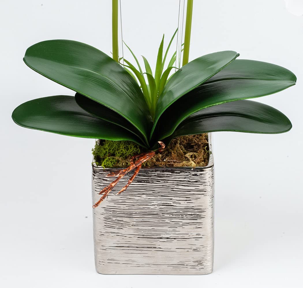 Homeseaons Orchid Lamp-LED Lighted Orchid Arrangements,Pre Lit Artificial Orchid,Light Up Flower Lights, Faux Orchid Phalaenopsis Arrangement (White)