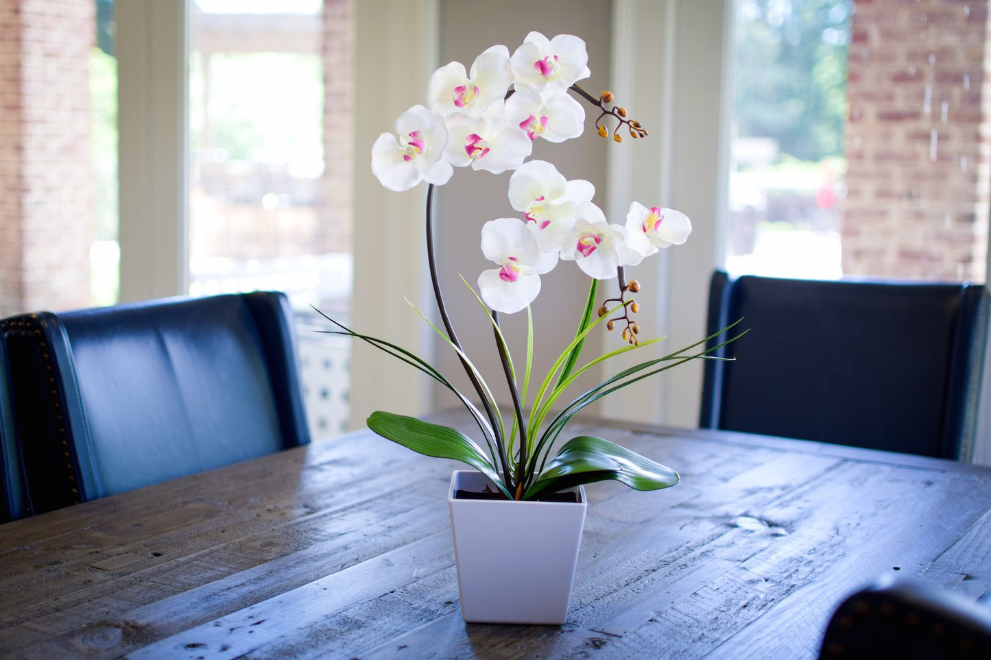 Homeseaons Orchid Lamp-LED Lighted Orchid Arrangements,Pre Lit Artificial Orchid,Light Up Flower Lights, Faux Orchid Phalaenopsis Arrangement (White)