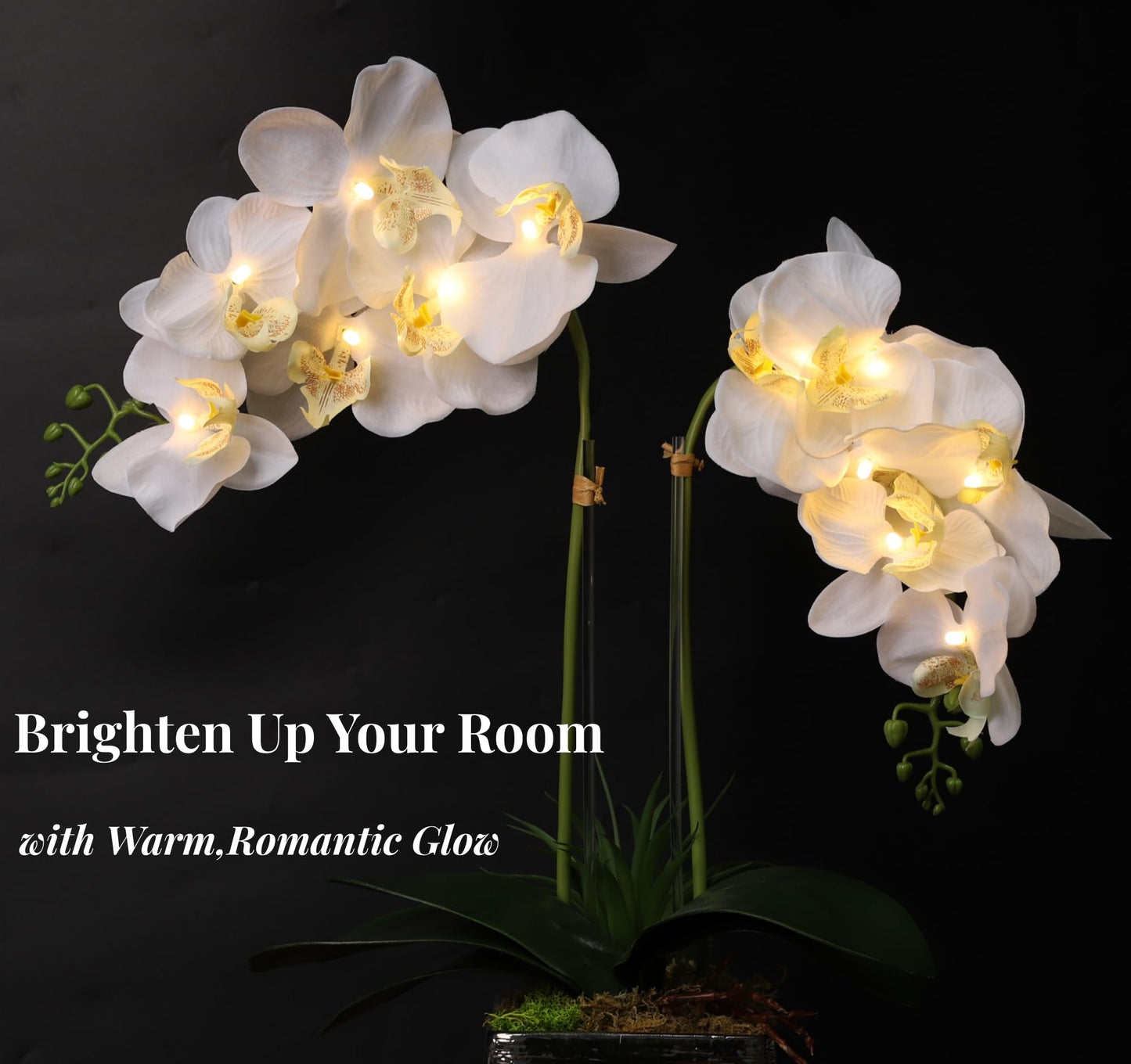 Homeseaons Orchid Lamp-LED Lighted Orchid Arrangements,Pre Lit Artificial Orchid,Light Up Flower Lights, Faux Orchid Phalaenopsis Arrangement (White)
