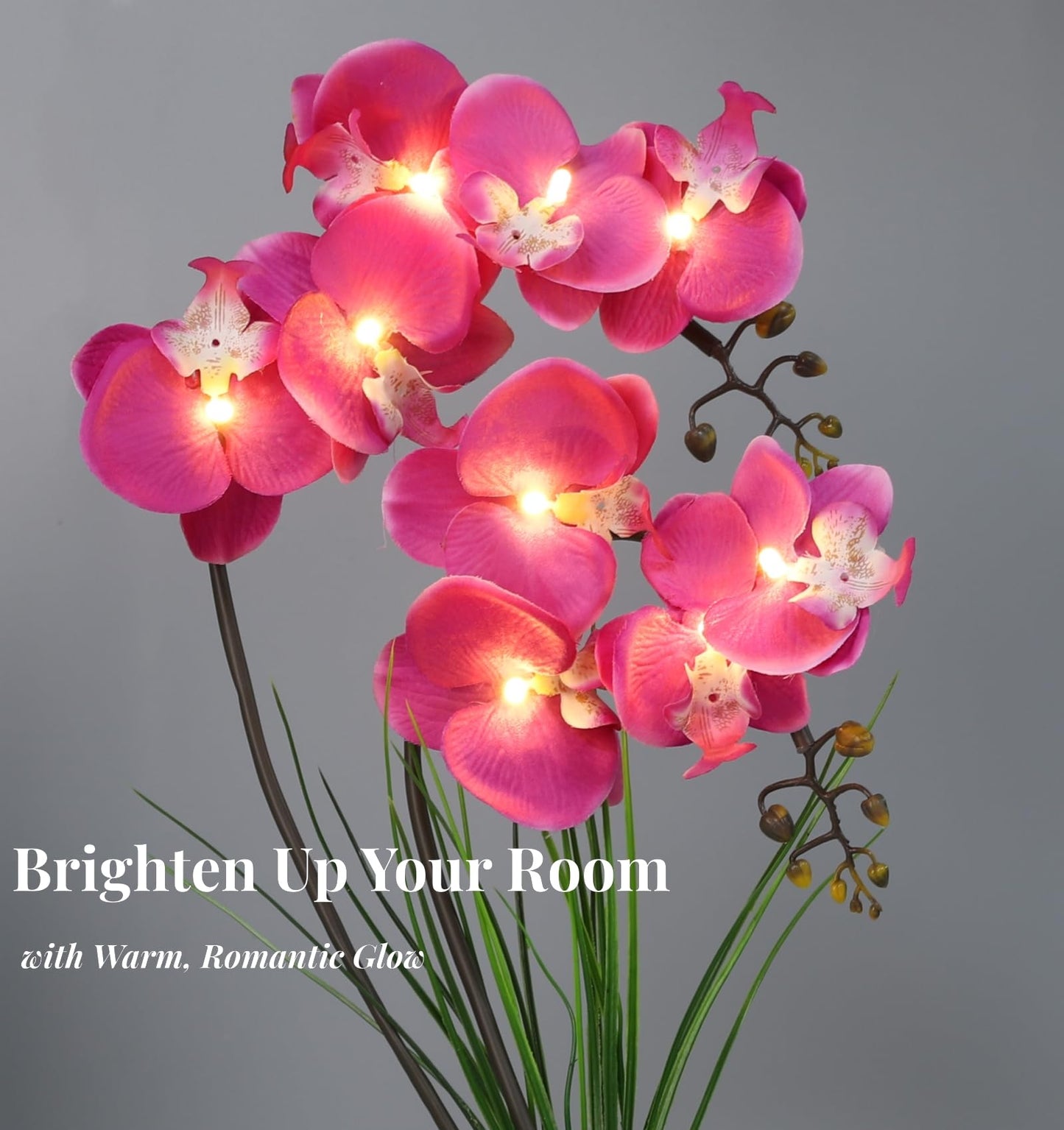 Homeseaons Orchid Lamp-LED Lighted Orchid Arrangements,Pre Lit Artificial Orchid,Light Up Flower Lights, Faux Orchid Phalaenopsis Arrangement (White)